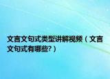文言文句式类型讲解视频（文言文句式有哪些?）