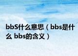 bbS什么意思（bbs是什么 bbs的含义）