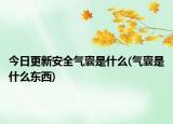 今日更新安全气囊是什么(气囊是什么东西)
