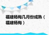 福建杨梅几月份成熟（福建杨梅）
