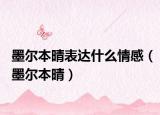 墨尔本晴表达什么情感（墨尔本晴）