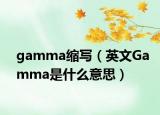 gamma缩写（英文Gamma是什么意思）