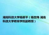 湖南科技大学杨继平（杨世伟 湖南科技大学教育学院副教授）