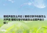 壁纸声音怎么开启（壁纸引擎手机版怎么开声音 壁纸引擎手机版怎么设置声音介绍）