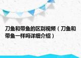 刀鱼和带鱼的区别视频（刀鱼和带鱼一样吗详细介绍）