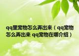 qq里宠物怎么弄出来（qq宠物怎么弄出来 qq宠物在哪介绍）