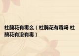 杜鹃花有毒么（杜鹃花有毒吗 杜鹃花有没有毒）