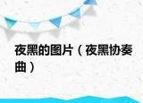 夜黑的图片（夜黑协奏曲）