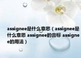 assignee是什么意思（assignee是什么意思 assignee的音标 assignee的用法）