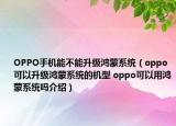 OPPO手机能不能升级鸿蒙系统（oppo可以升级鸿蒙系统的机型 oppo可以用鸿蒙系统吗介绍）