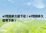 a3驾照多久能下证（a3驾照多久能考下来）