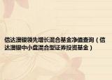信达澳银领先增长混合基金净值查询（信达澳银中小盘混合型证券投资基金）