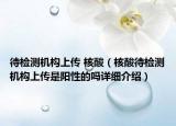 待检测机构上传 核酸（核酸待检测机构上传是阳性的吗详细介绍）