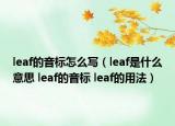 leaf的音标怎么写（leaf是什么意思 leaf的音标 leaf的用法）