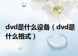 dvd是什么设备（dvd是什么格式）