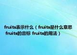 fruits表示什么（fruits是什么意思 fruits的音标 fruits的用法）