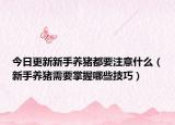 今日更新新手养猪都要注意什么（新手养猪需要掌握哪些技巧）