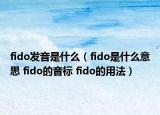 fido发音是什么（fido是什么意思 fido的音标 fido的用法）