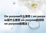 On purpose什么意思（on purpose是什么意思 on purpose的音标 on purpose的用法）