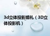 3d立体投影婚礼（3D立体投影机）