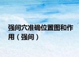 强间穴准确位置图和作用（强间）