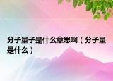 分子量子是什么意思啊（分子量是什么）