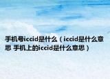 手机号iccid是什么（iccid是什么意思 手机上的iccid是什么意思）