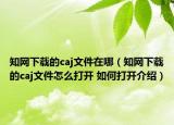 知网下载的caj文件在哪（知网下载的caj文件怎么打开 如何打开介绍）