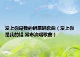 爱上你是我的错原唱歌曲（爱上你是我的错 常志演唱歌曲）