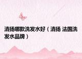 清扬哪款洗发水好（清扬 法国洗发水品牌）