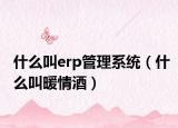 什么叫erp管理系统（什么叫暖情酒）