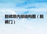 脱硫塔内部结构图（脱裤门）