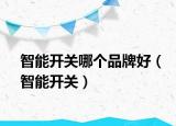 智能开关哪个品牌好（智能开关）