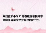 今日更新小米11青春版屏幕模糊怎么解决屏幕突然变暗是因为什么