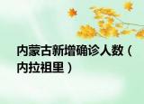 内蒙古新增确诊人数（内拉祖里）