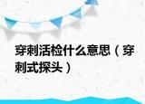 穿刺活检什么意思（穿刺式探头）