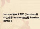 hotshot的中文意思（hotshot是什么意思 hotshot的音标 hotshot的用法）