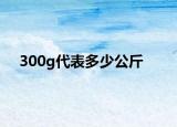300g代表多少公斤