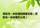 冒险岛一朵玫瑰到哪里采集（冒险岛一朵玫瑰怎么得）
