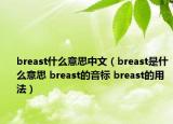 breast什么意思中文（breast是什么意思 breast的音标 breast的用法）