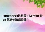 lemon tree这首歌（Lemon Tree 苏慧伦演唱歌曲）