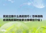 买房注意什么选房技巧（怎样选购房选购房屋时需要注意哪些介绍）