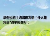 举例说明主语谓语宾语（什么是宾语?请举例说明.）