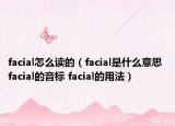 facial怎么读的（facial是什么意思 facial的音标 facial的用法）