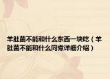 羊肚菌不能和什么东西一块吃（羊肚菌不能和什么同煮详细介绍）