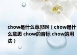 chow是什么意思啊（chow是什么意思 chow的音标 chow的用法）