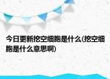 今日更新挖空细胞是什么(挖空细胞是什么意思啊)
