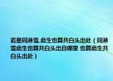 若是同淋雪,此生也算共白头出处（同淋雪此生也算共白头出自哪里 也算此生共白头出处）