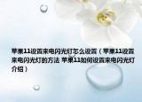 苹果11设置来电闪光灯怎么设置（苹果11设置来电闪光灯的方法 苹果11如何设置来电闪光灯介绍）