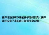房产证还没有下来的房子如何买卖（房产证还没有下来的房子如何买卖介绍）